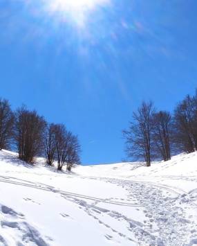 Sibillini in ciaspole, le leggende di Castelluccio e del Pian Grande, con Itinarrando